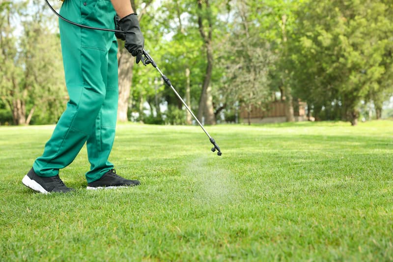 Why Year-Round Pest Control Is A Worthwhile Investment