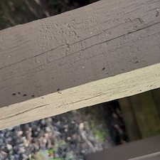 Reliable-and-effective-pest-solutions-performed-in-Archdale-NC 0