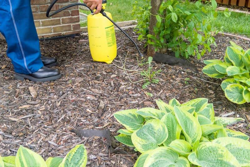 Pest Control